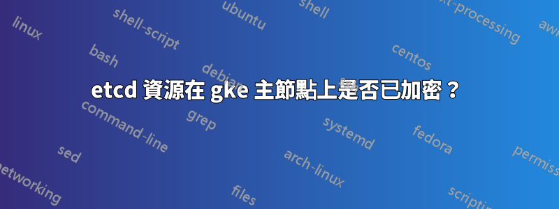 etcd 資源在 gke 主節點上是否已加密？