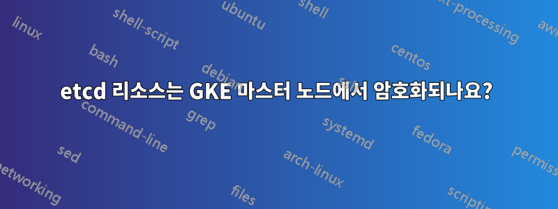 etcd 리소스는 GKE 마스터 노드에서 암호화되나요?