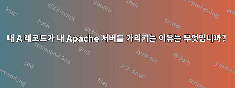 내 A 레코드가 내 Apache 서버를 가리키는 이유는 무엇입니까?