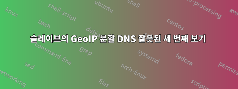 슬레이브의 GeoIP 분할 DNS 잘못된 세 번째 보기