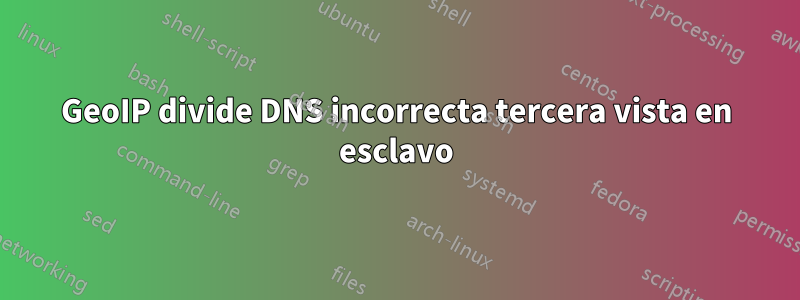 GeoIP divide DNS incorrecta tercera vista en esclavo