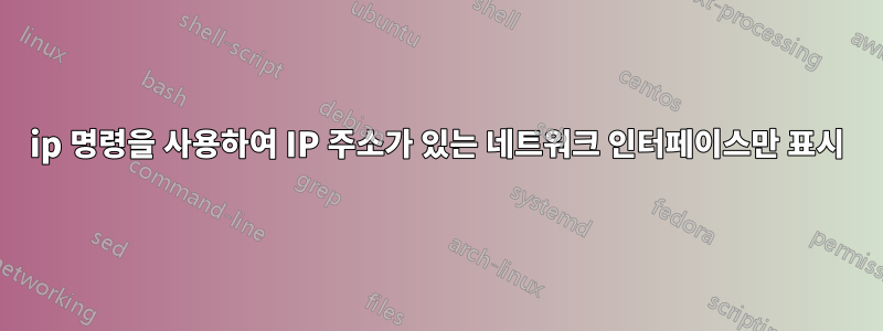 ip 명령을 사용하여 IP 주소가 있는 네트워크 인터페이스만 표시