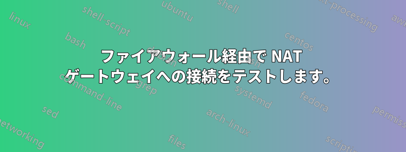 ファイアウォール経由で NAT ゲートウェイへの接続をテストします。