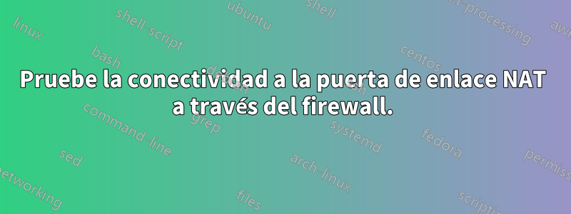 Pruebe la conectividad a la puerta de enlace NAT a través del firewall.