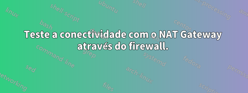 Teste a conectividade com o NAT Gateway através do firewall.