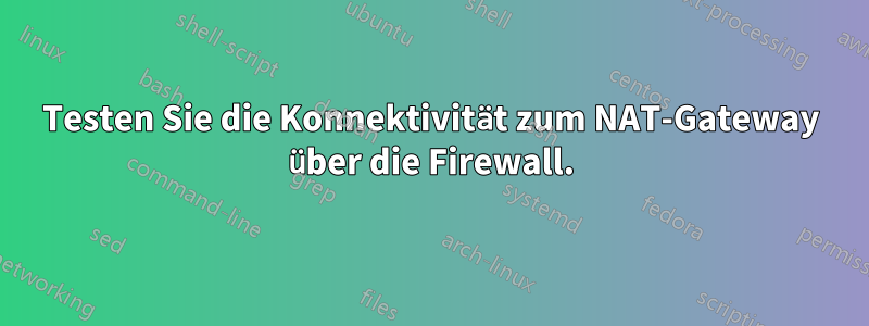 Testen Sie die Konnektivität zum NAT-Gateway über die Firewall.