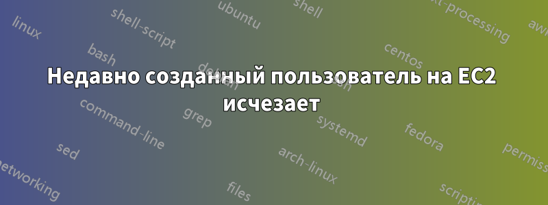 Недавно созданный пользователь на EC2 исчезает