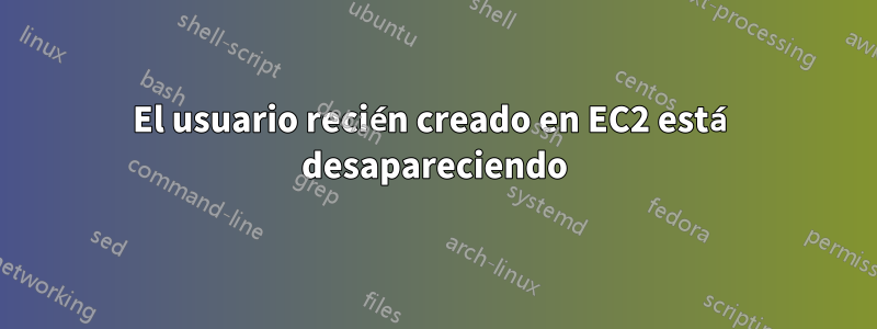 El usuario recién creado en EC2 está desapareciendo