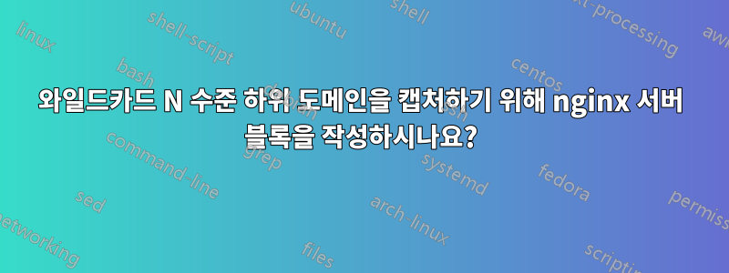 와일드카드 N 수준 하위 도메인을 캡처하기 위해 nginx 서버 블록을 작성하시나요?