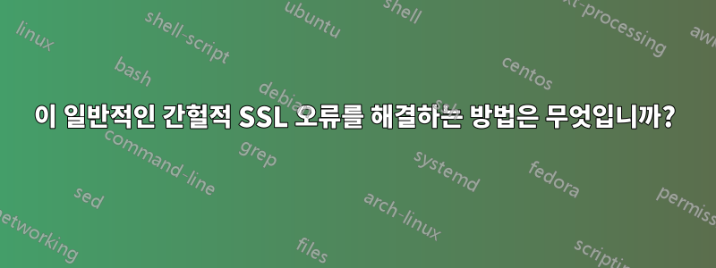 이 일반적인 간헐적 SSL 오류를 해결하는 방법은 무엇입니까?