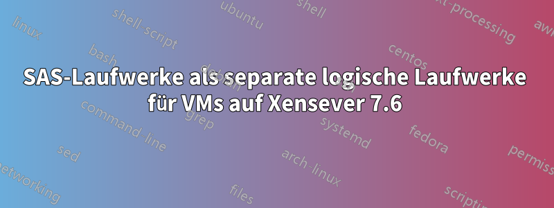 SAS-Laufwerke als separate logische Laufwerke für VMs auf Xensever 7.6