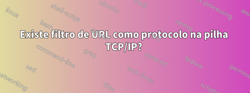 Existe filtro de URL como protocolo na pilha TCP/IP?
