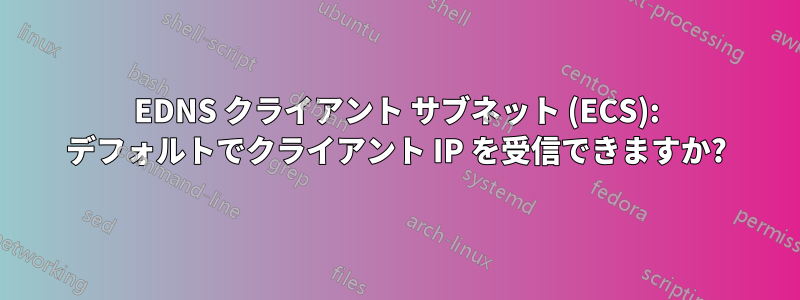 EDNS クライアント サブネット (ECS): デフォルトでクライアント IP を受信できますか?