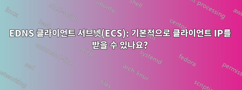 EDNS 클라이언트 서브넷(ECS): 기본적으로 클라이언트 IP를 받을 수 있나요?