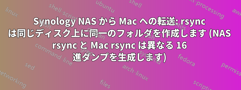 Synology NAS から Mac への転送: rsync は同じディスク上に同一のフォルダを作成します (NAS rsync と Mac rsync は異なる 16 進ダンプを生成します)