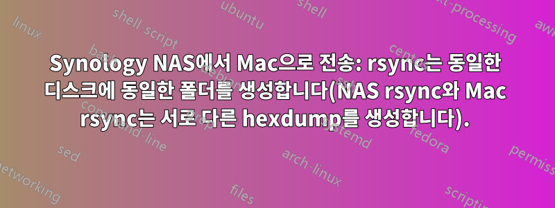 Synology NAS에서 Mac으로 전송: rsync는 동일한 디스크에 동일한 폴더를 생성합니다(NAS rsync와 Mac rsync는 서로 다른 hexdump를 생성합니다).