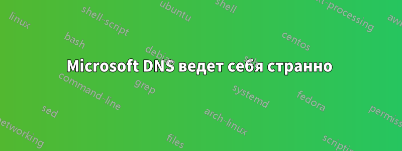 Microsoft DNS ведет себя странно
