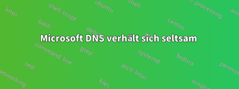 Microsoft DNS verhält sich seltsam