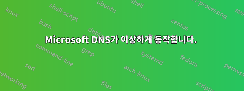 Microsoft DNS가 이상하게 동작합니다.