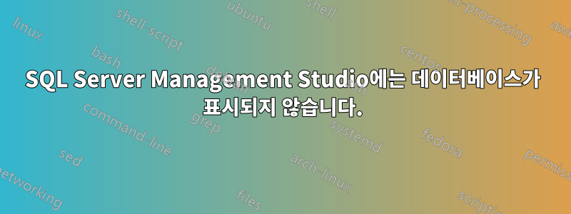 SQL Server Management Studio에는 데이터베이스가 표시되지 않습니다.