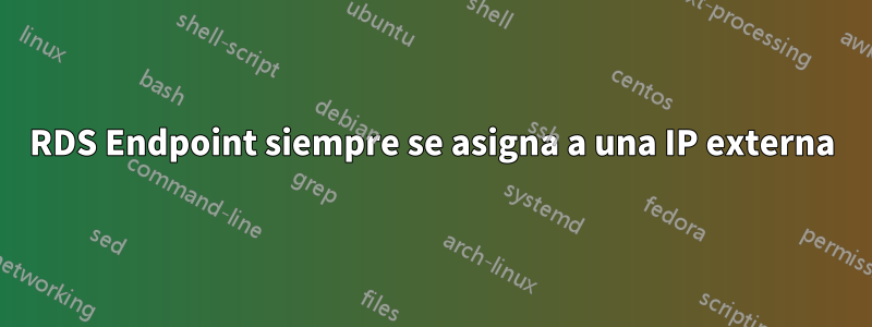 RDS Endpoint siempre se asigna a una IP externa