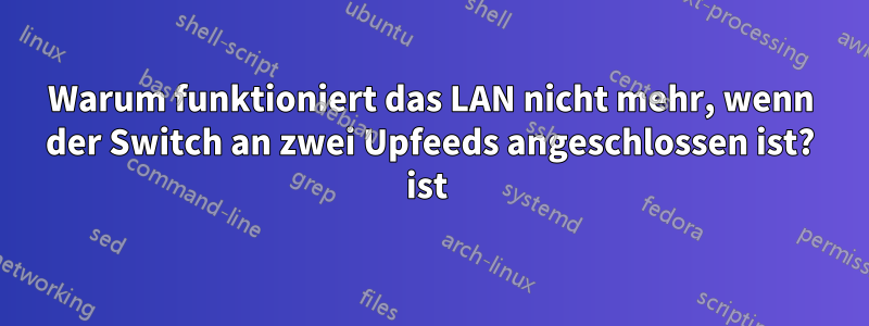 Warum funktioniert das LAN nicht mehr, wenn der Switch an zwei Upfeeds angeschlossen ist? ist 