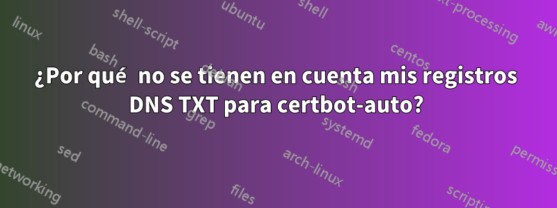 ¿Por qué no se tienen en cuenta mis registros DNS TXT para certbot-auto?