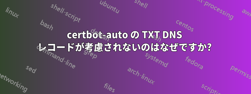 certbot-auto の TXT DNS レコードが考慮されないのはなぜですか?