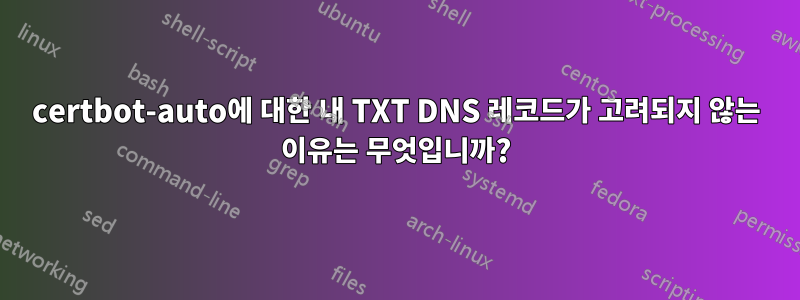 certbot-auto에 대한 내 TXT DNS 레코드가 고려되지 않는 이유는 무엇입니까?