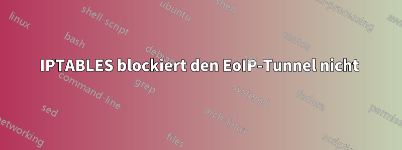 IPTABLES blockiert den EoIP-Tunnel nicht