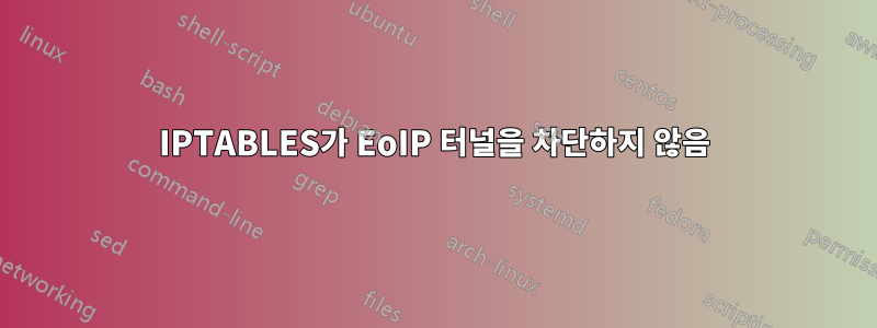 IPTABLES가 EoIP 터널을 차단하지 않음
