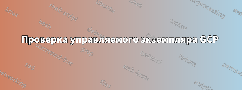 Проверка управляемого экземпляра GCP
