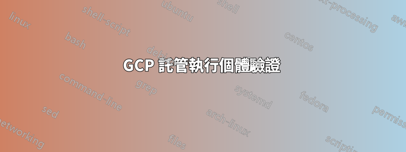GCP 託管執行個體驗證