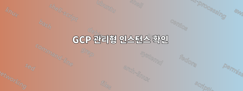 GCP 관리형 인스턴스 확인