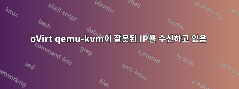 oVirt qemu-kvm이 잘못된 IP를 수신하고 있음