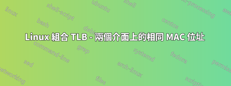 Linux 組合 TLB - 兩個介面上的相同 MAC 位址