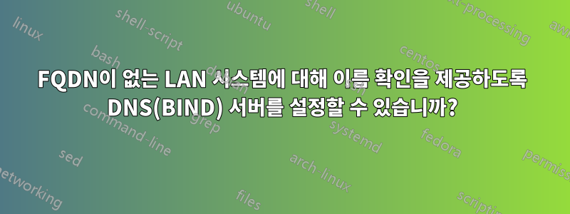 FQDN이 없는 LAN 시스템에 대해 이름 확인을 제공하도록 DNS(BIND) 서버를 설정할 수 있습니까?