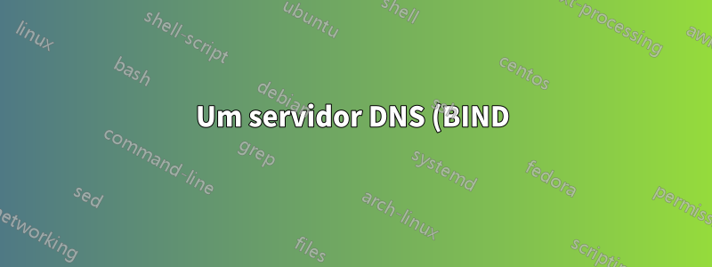 Um servidor DNS (BIND) pode ser configurado para fornecer resolução de nomes para máquinas LAN que não possuem FQDN?