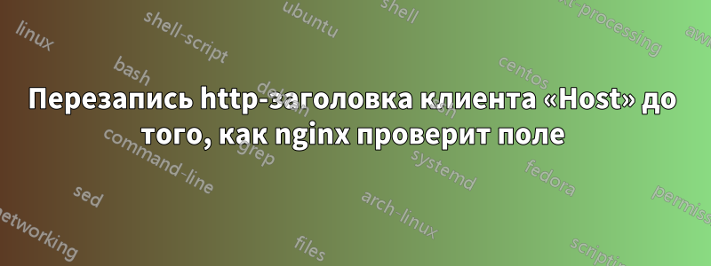 Перезапись http-заголовка клиента «Host» до того, как nginx проверит поле