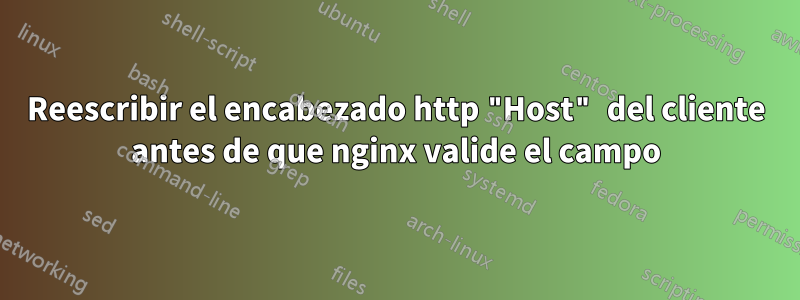 Reescribir el encabezado http "Host" del cliente antes de que nginx valide el campo