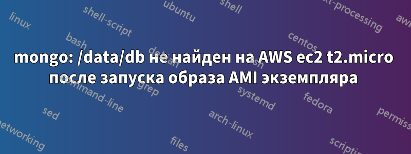 mongo: /data/db не найден на AWS ec2 t2.micro после запуска образа AMI экземпляра