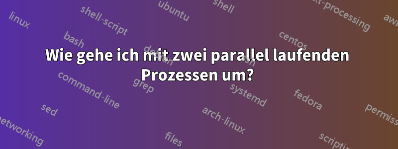 Wie gehe ich mit zwei parallel laufenden Prozessen um?