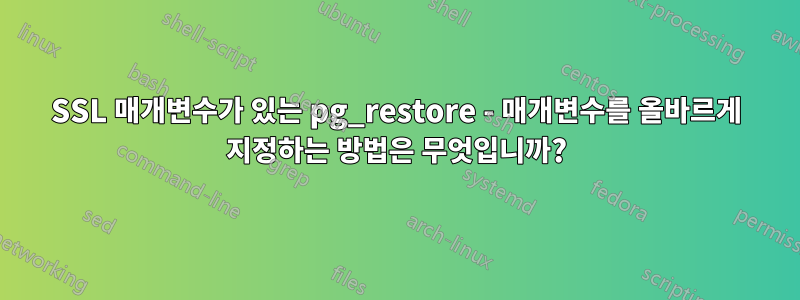 SSL 매개변수가 있는 pg_restore - 매개변수를 올바르게 지정하는 방법은 무엇입니까?