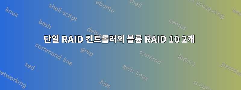 단일 RAID 컨트롤러의 볼륨 RAID 10 2개