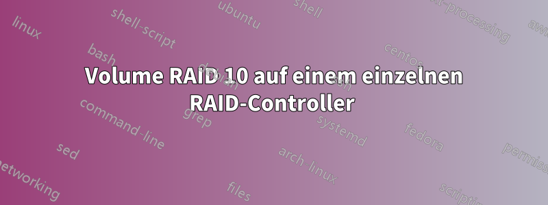 2 Volume RAID 10 auf einem einzelnen RAID-Controller