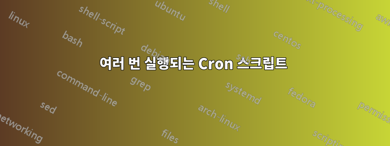 여러 번 실행되는 Cron 스크립트
