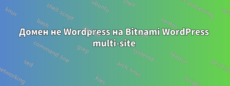 Домен не Wordpress на Bitnami WordPress multi-site