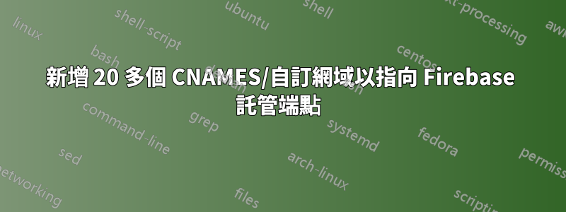 新增 20 多個 CNAMES/自訂網域以指向 Firebase 託管端點 