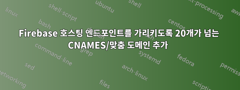 Firebase 호스팅 엔드포인트를 가리키도록 20개가 넘는 CNAMES/맞춤 도메인 추가