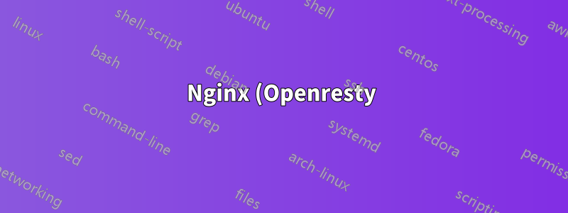 Nginx (Openresty) Proxy, Добавление пользовательских заголовков в статические файлы